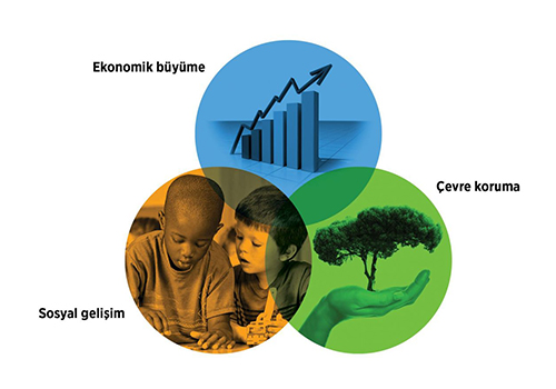 Çevresel Sürdürülebilirlik Eğitimi
